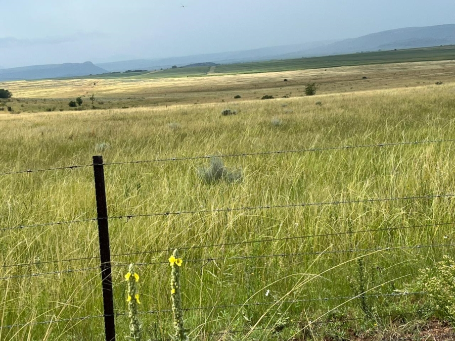 6 Bedroom Property for Sale in Ladybrand Rural Free State